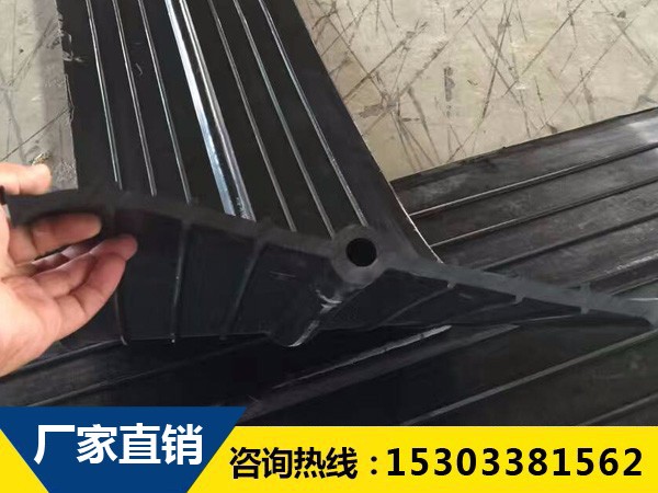 我在变形缝橡胶止水带施工现场发现了什么？